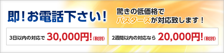 即！お電話下さい！驚きの低価格でバスターズが対応致します！